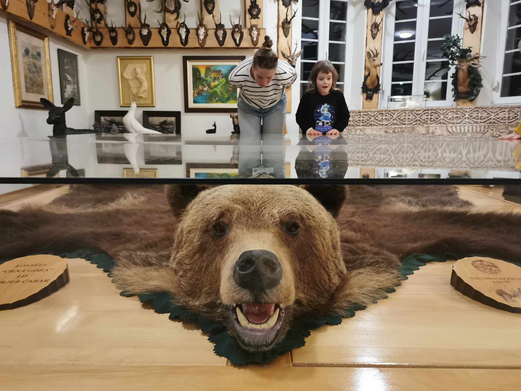 mrki medvjed u lovackom muzeju